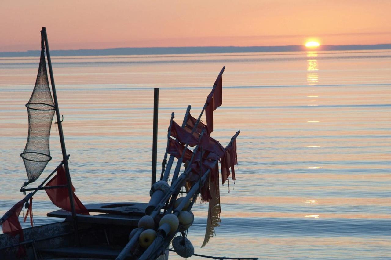 Fewo Seeblick - Familien - Hunde - Strandnah - Ostseeblick - Sauna & Wellness Sierksdorf Dış mekan fotoğraf