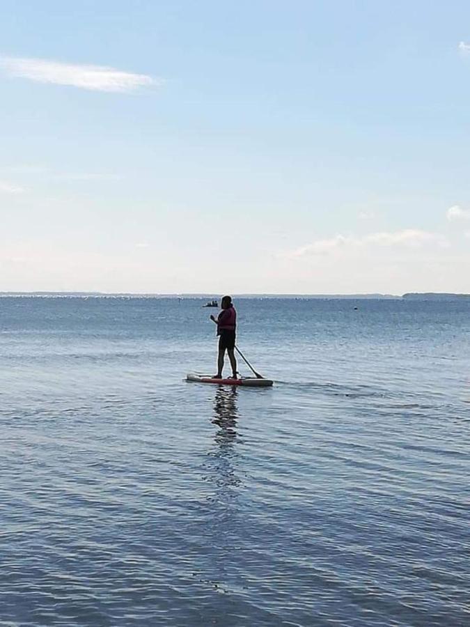 Fewo Seeblick - Familien - Hunde - Strandnah - Ostseeblick - Sauna & Wellness Sierksdorf Dış mekan fotoğraf